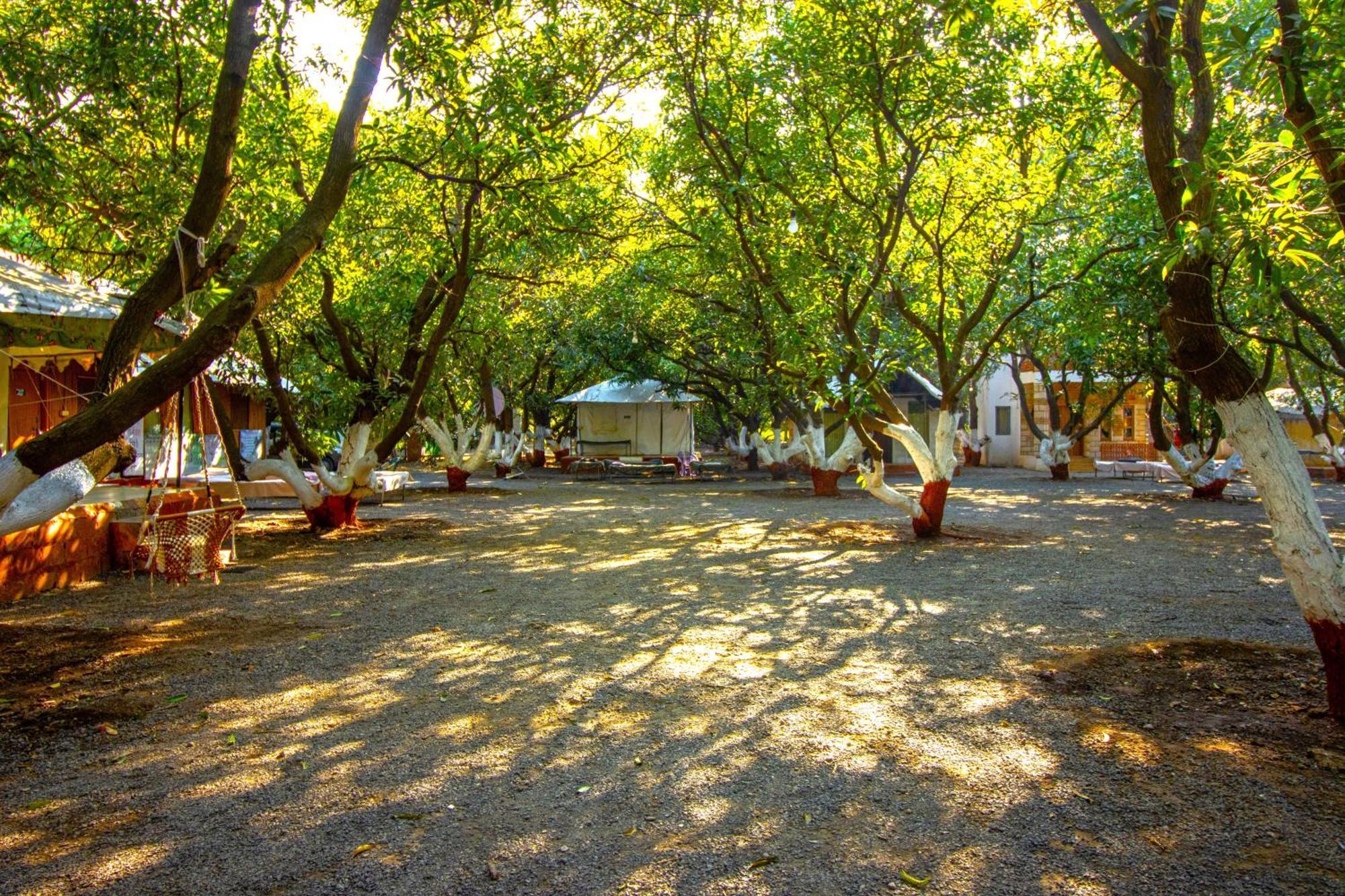 Brook Ville Sasan Gir Exterior foto