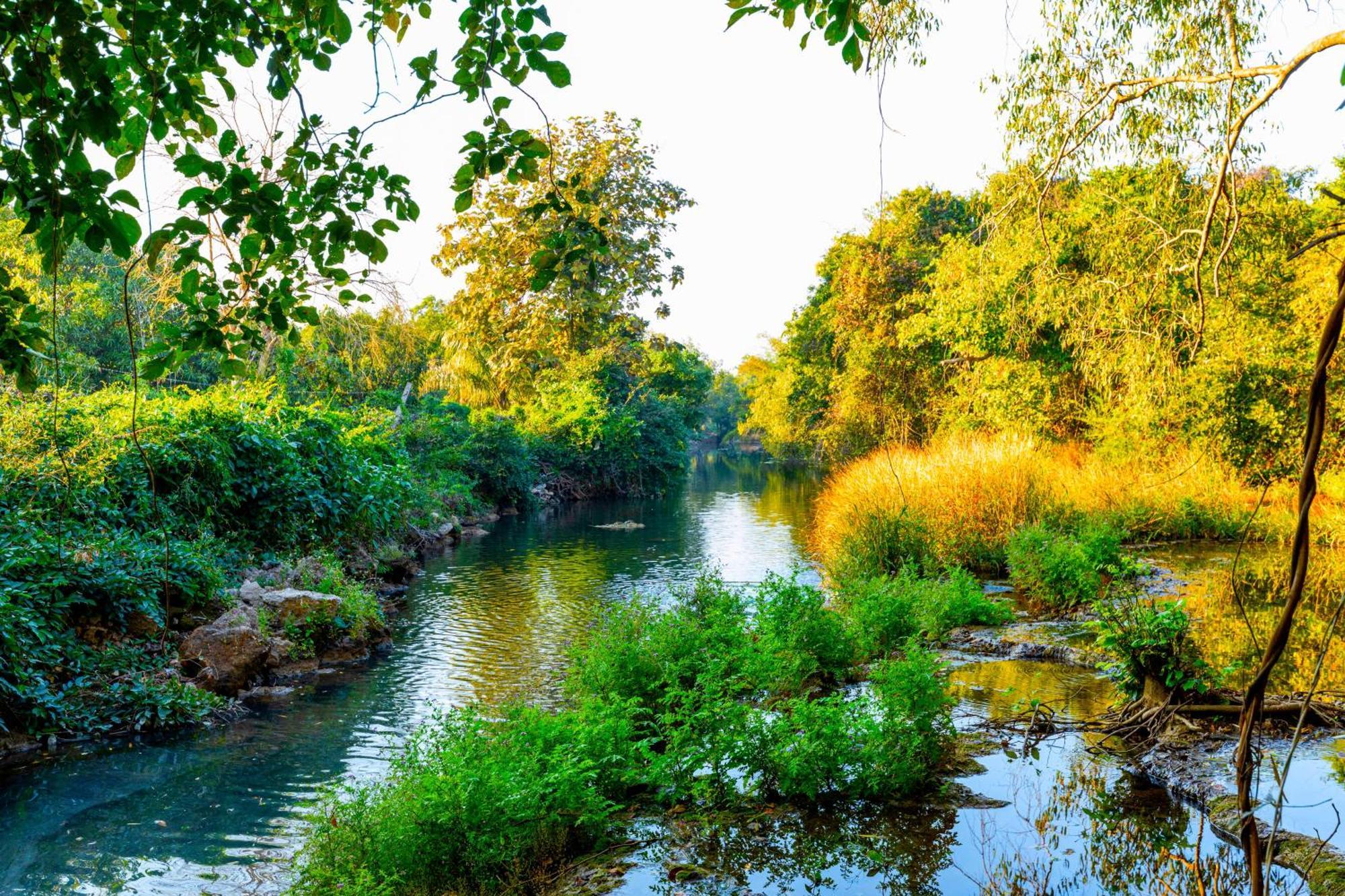 Brook Ville Sasan Gir Exterior foto