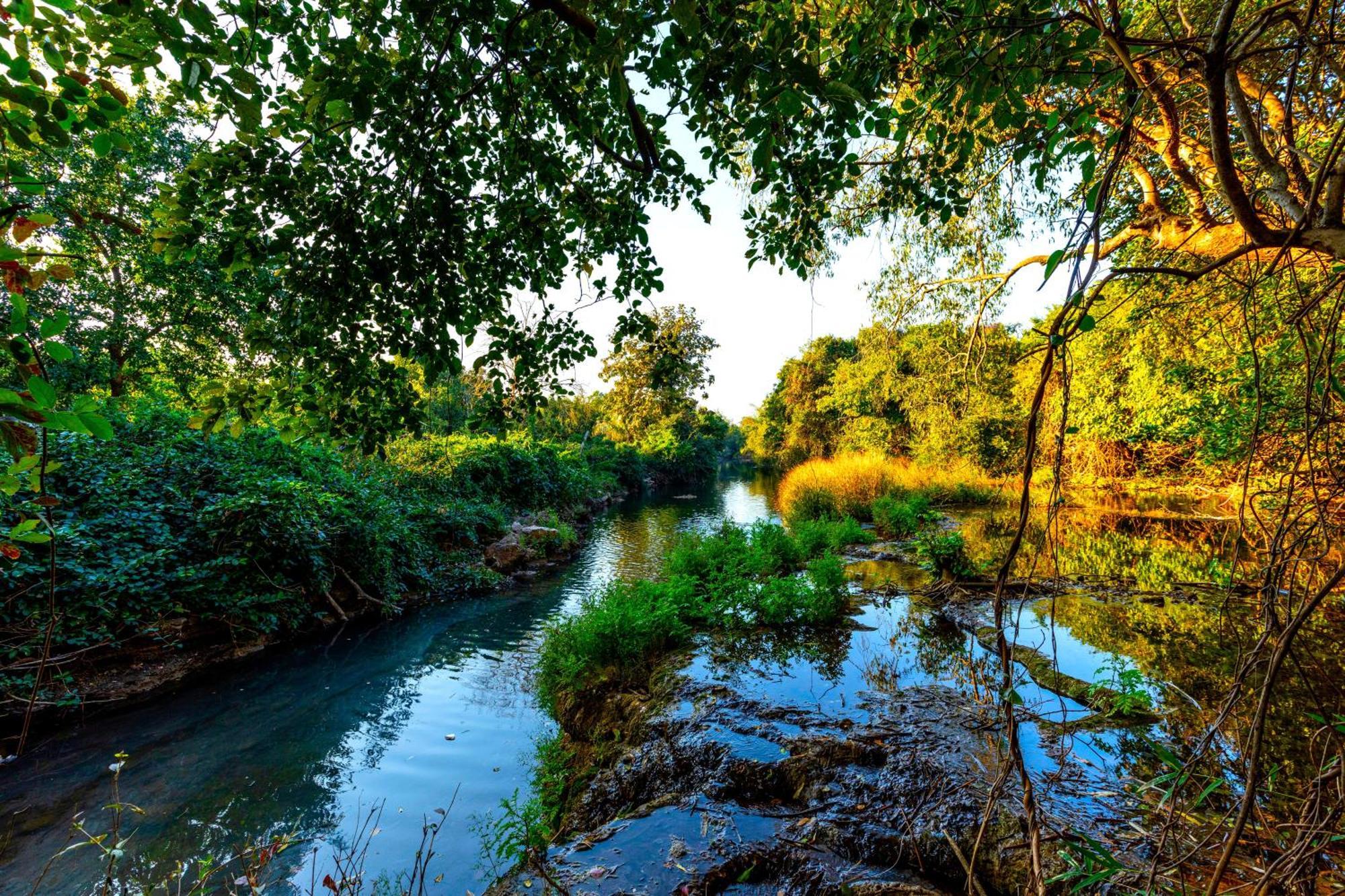 Brook Ville Sasan Gir Exterior foto