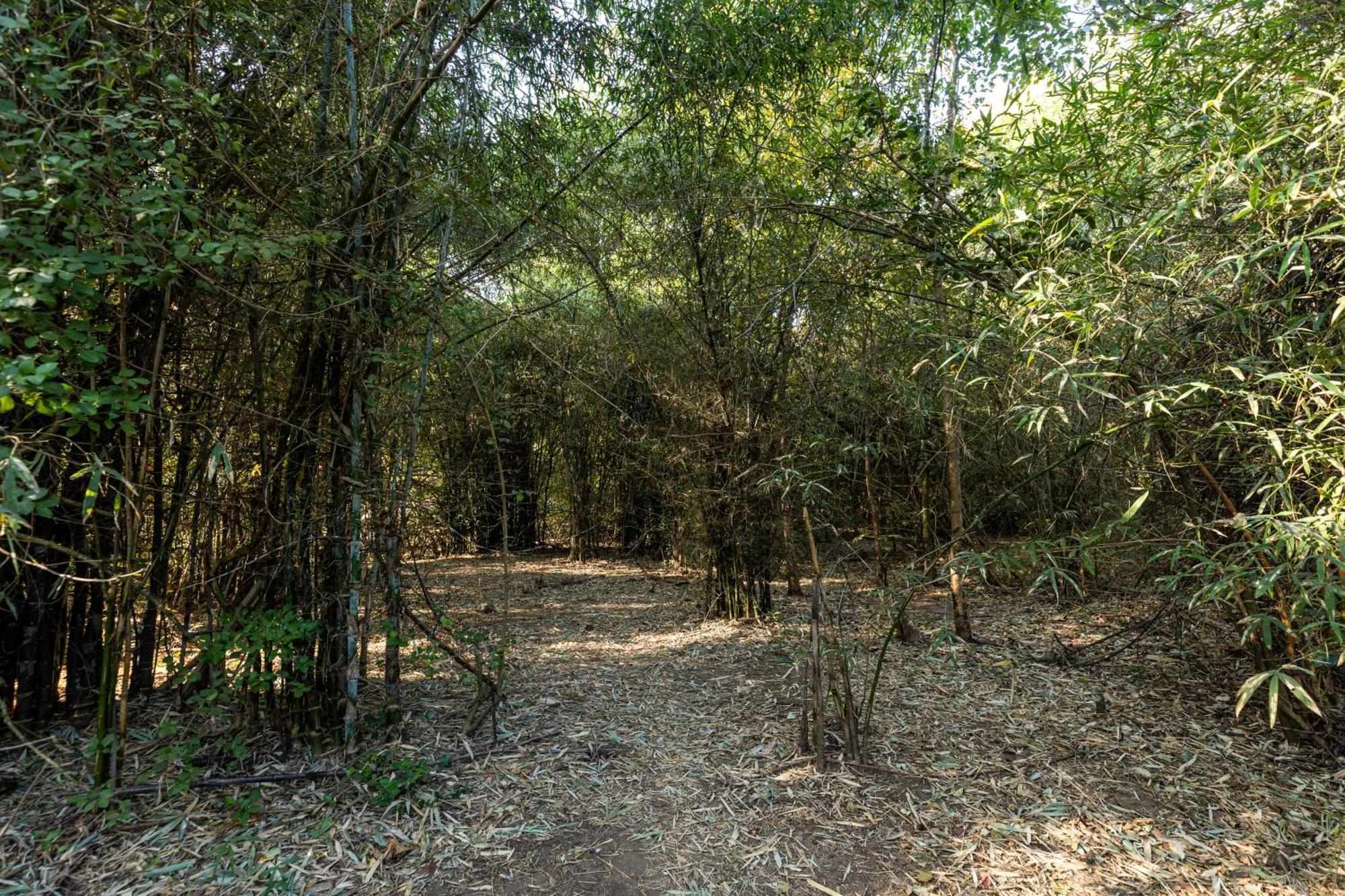 Brook Ville Sasan Gir Exterior foto