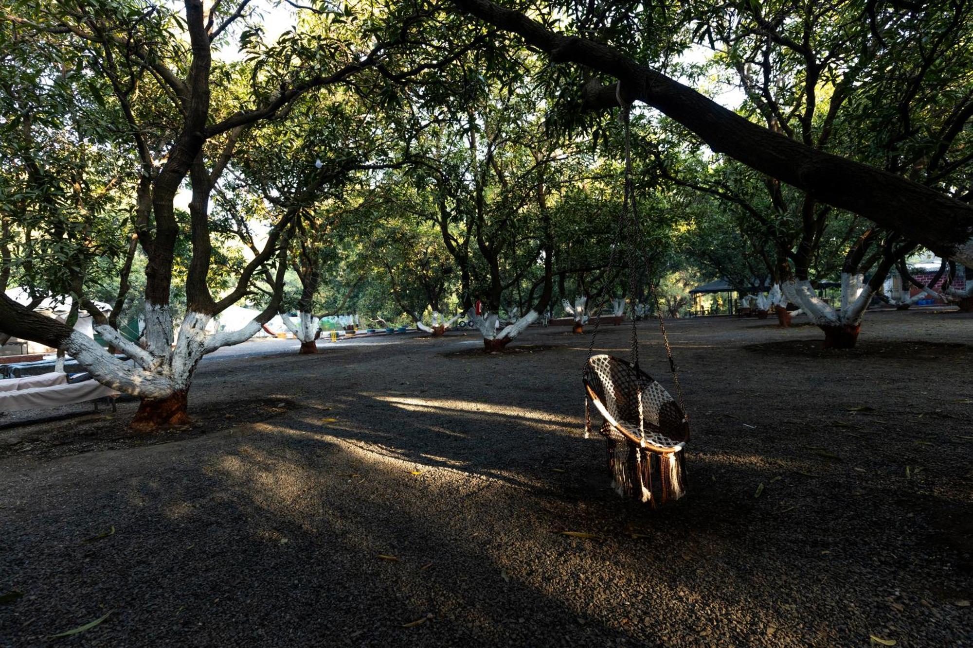 Brook Ville Sasan Gir Exterior foto