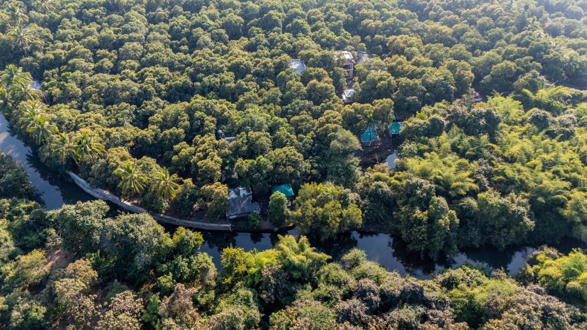 Brook Ville Sasan Gir Exterior foto